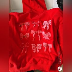 HydroJug x ACTA PR Box Exclusive Hooded Pullover Sweater (L/XL) - Ships Fast